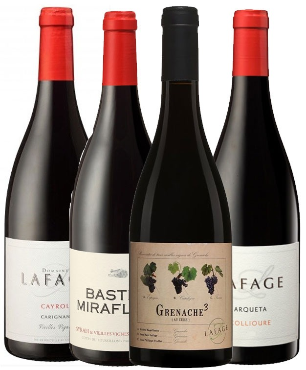 MIX&MATCH דומיין לפאג'